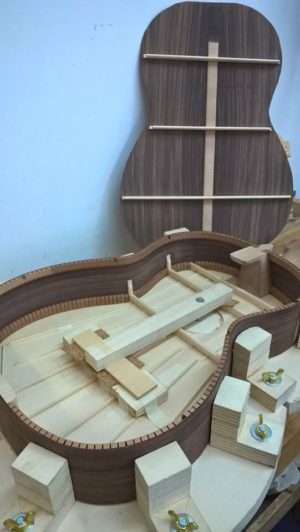 Corso di Liuteria degli strumenti a corde